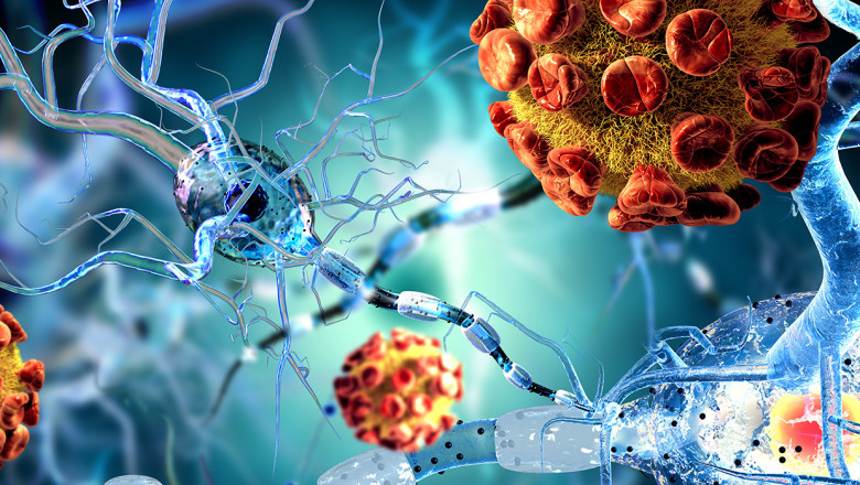 The Antibody-mediated Rejection Market Will Grow at the Highest Pace owing to Growing Kidney Transplants