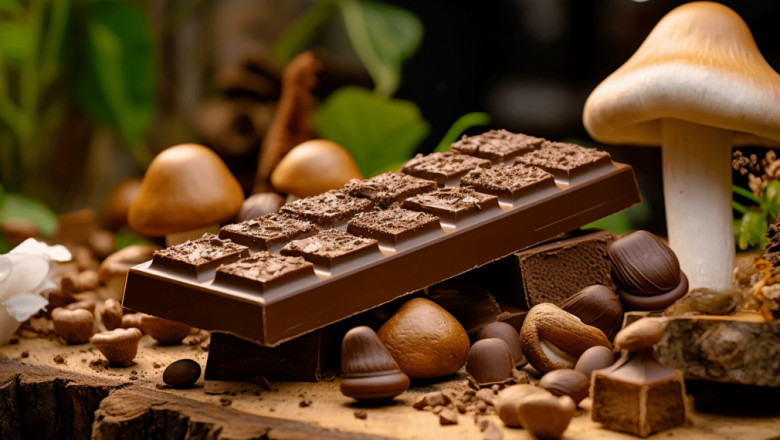 Awaken Mushroom Chocolate An excellent Combination from Blend not to mention Health and wellbeing