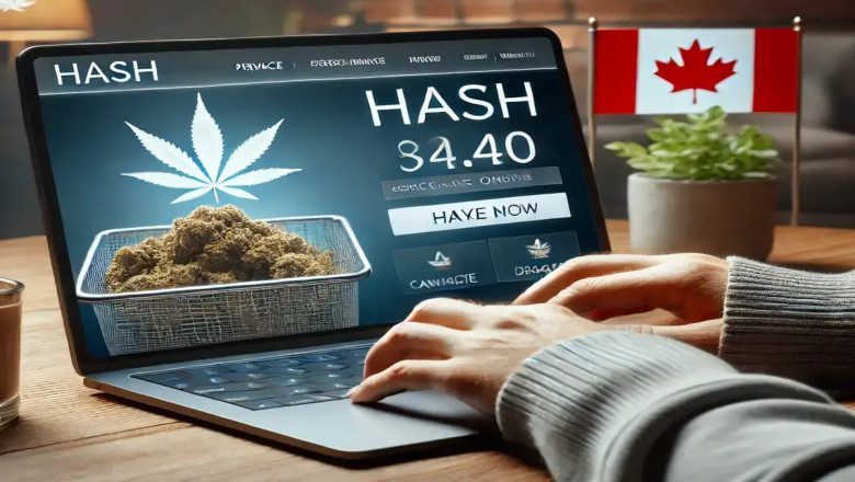 Discovering the World of Hash in Canada