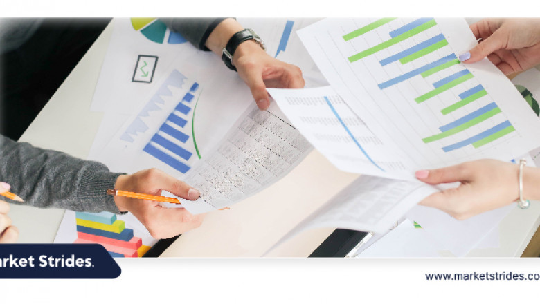 Hybrid Turf Market Industry Projections: Growth Factors and Market Forecast