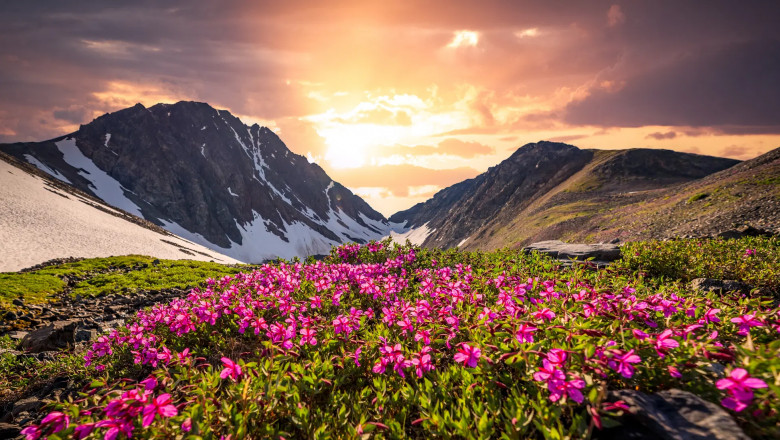 Valley of flowers Trek Package 2025-2026