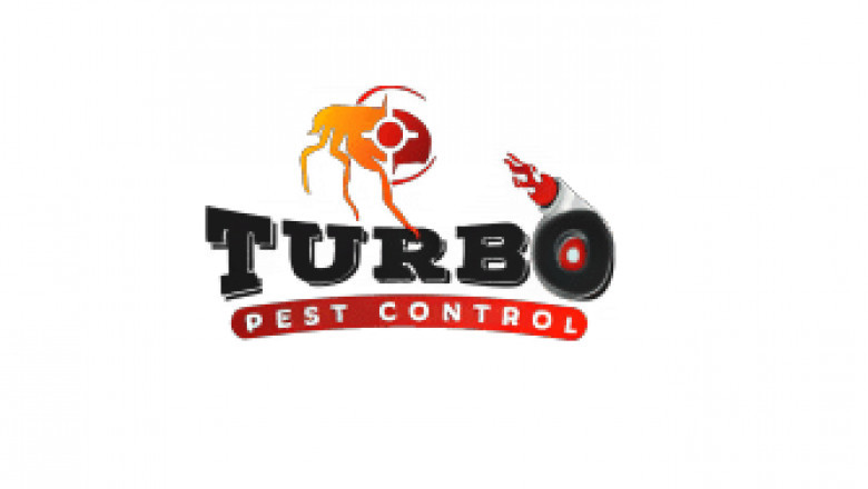 Wasp Control in Melbourne