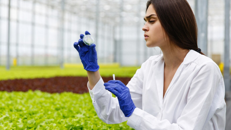 Biocontrol Agents Market Recent Developments and Innovations in Pest Control