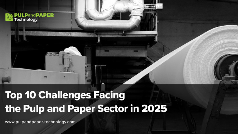 Top 10 Challenges Facing the Pulp and Paper Sector in 2025