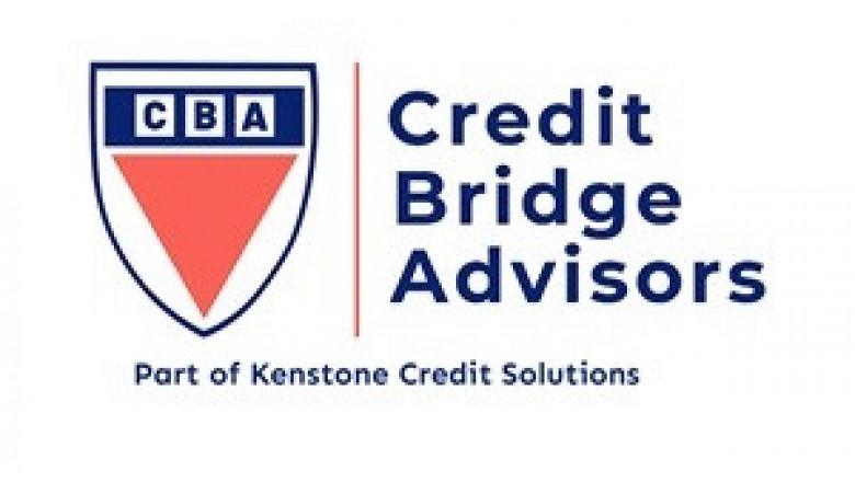cibil score repair agency in bangalore