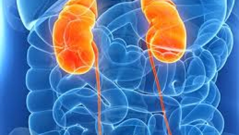 The Power of Kidney Disease Ayurvedic Treatment: Restoring Kidney Function Naturally- Aksa Ayurveda