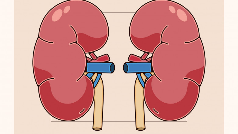 Bharat Homeopathy: Best GFR Calculator & Natural Treatment for Kidney Health