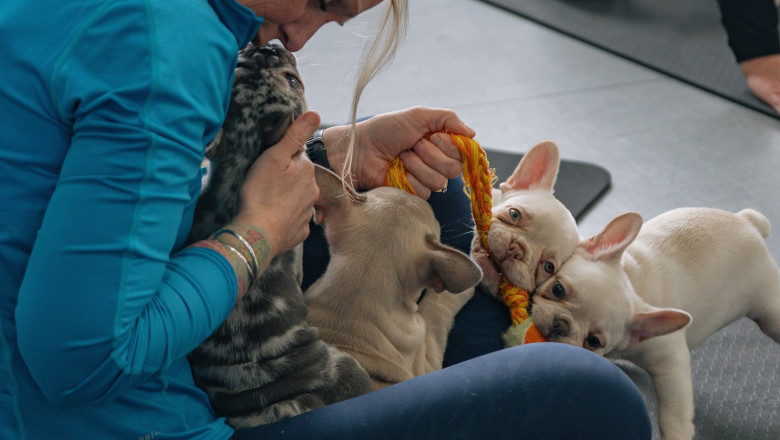How Puppy Yoga Helps with Mental Health and Stress Relief