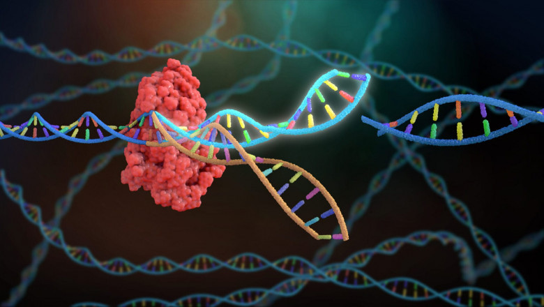 CRISPR Technology Market Growth: Trends, Challenges, and Future Opportunities