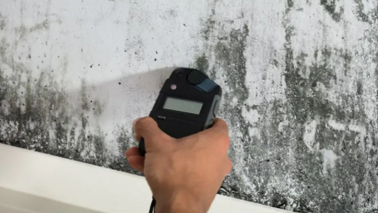 Effective Mold Remediation in Miami: Protect Your Property and Health