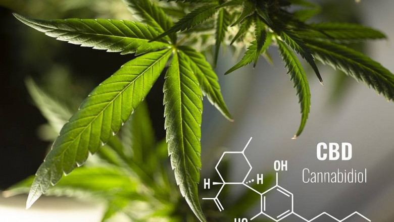 THC Liquid kaufen – Worauf du achten musst, um Qualität zu sichern