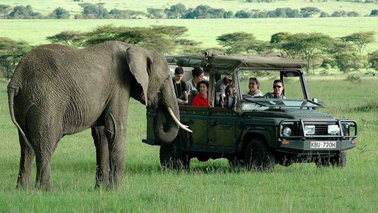 How to Arrange a Longer Safari Vacation in Kenya?