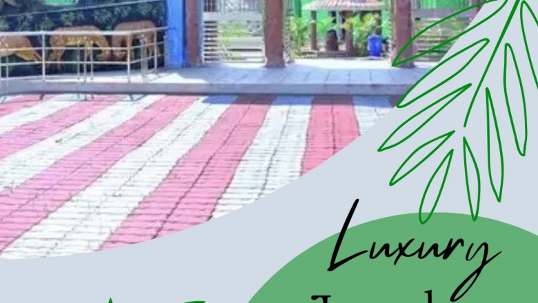 best resort in Bhitarkanika