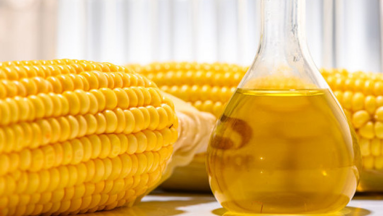 Corn Oil Market Challenges: Navigating the Hurdles in Market Growth