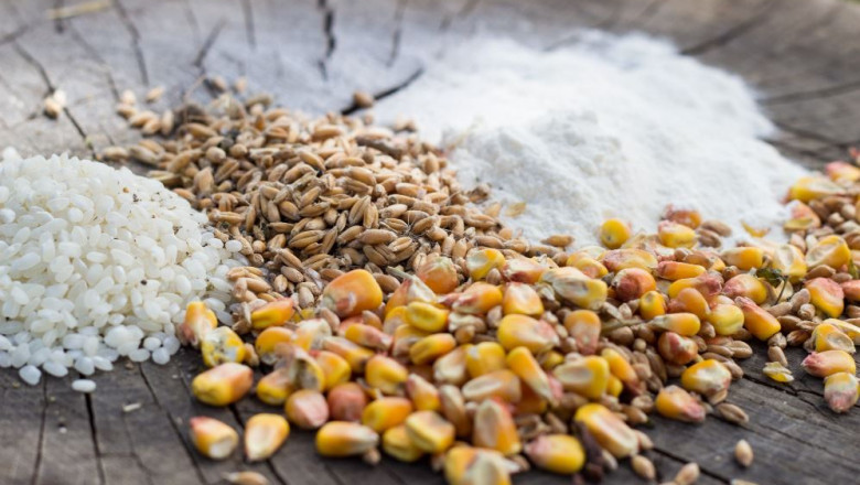 What is Excel Nutrition and Proteins?