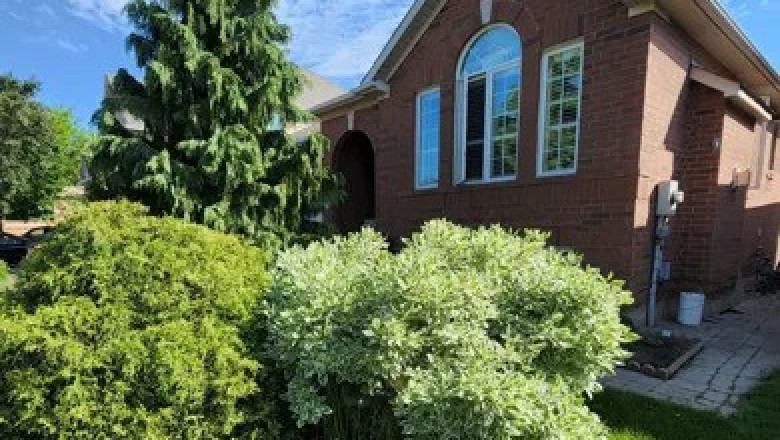 House for Sale in Toronto: Find Your Ideal Home