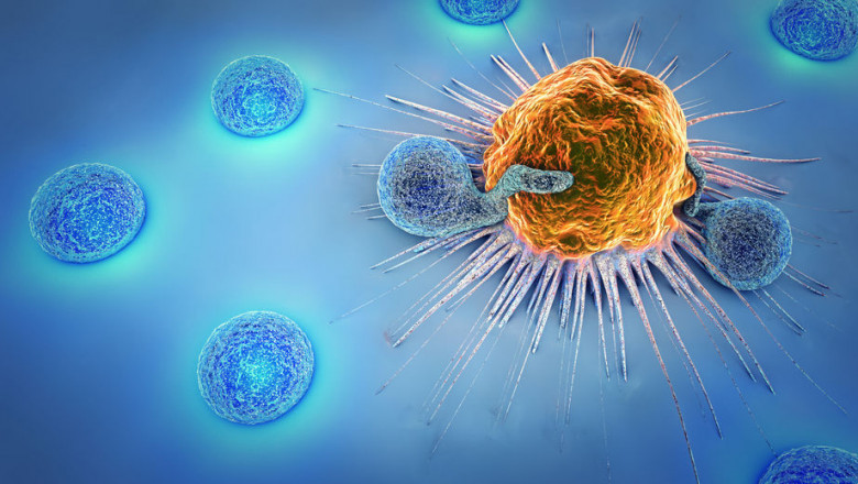 Cancer Therapeutics Market: The Emergence of Epigenetics in Cancer Treatment