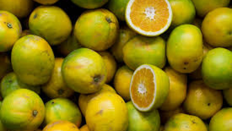 Citrus Flavonoids Market Forecast: Growth Trends, Challenges, and Emerging Opportunities for Global Expansion