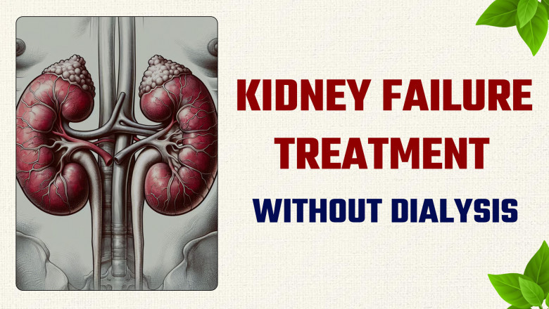 Effective Treatment and Management Strategies for Chronic Kidney Disease