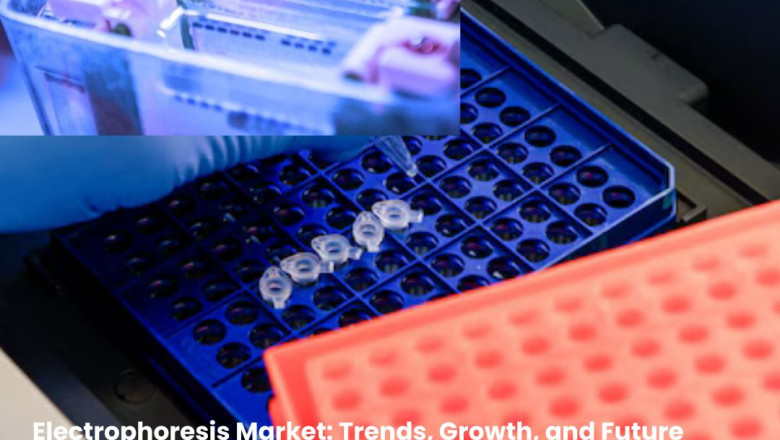Electrophoresis Market: Trends, Growth, and Future Outlook