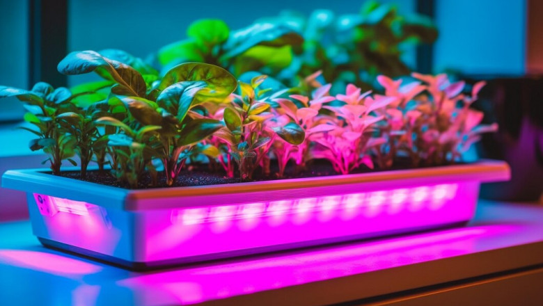 Illuminating Growth, Share, Trends and Innovations in the Horticulture Lighting Market