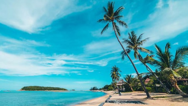 Escape the City: Scenic Tour Packages from Chennai to Kerala