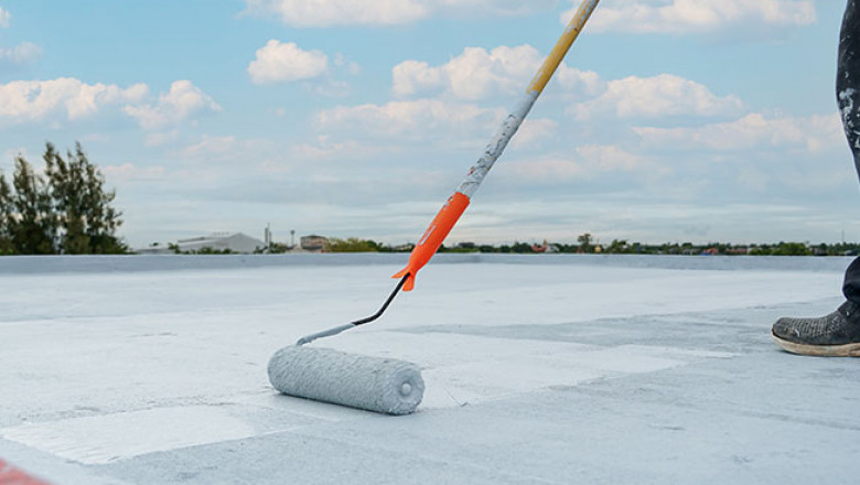 Shield Your Surfaces: The Ultimate Guide to Waterproofing Paint in Sri Lanka