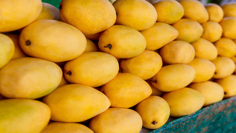 The Best Fruit Baskets for Occasions, Birthdays, and Anniversaries