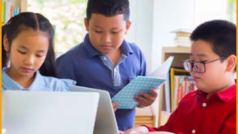 Excel in the IB with Expert Tuition: Chemistry, English, and Chinese Support