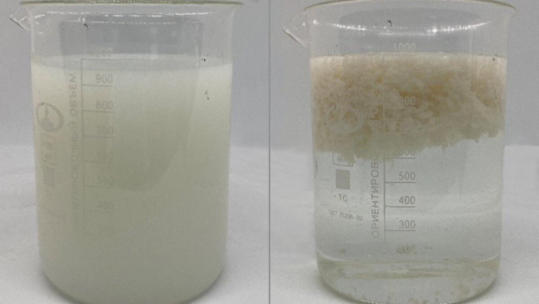 Flocculant and Coagulant Market Segmentation: A Deep Dive