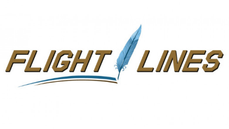 Top Aircraft Painting Companies for Quality & Durability