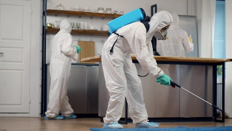 When Termites Invade: Dealing with Termites in House