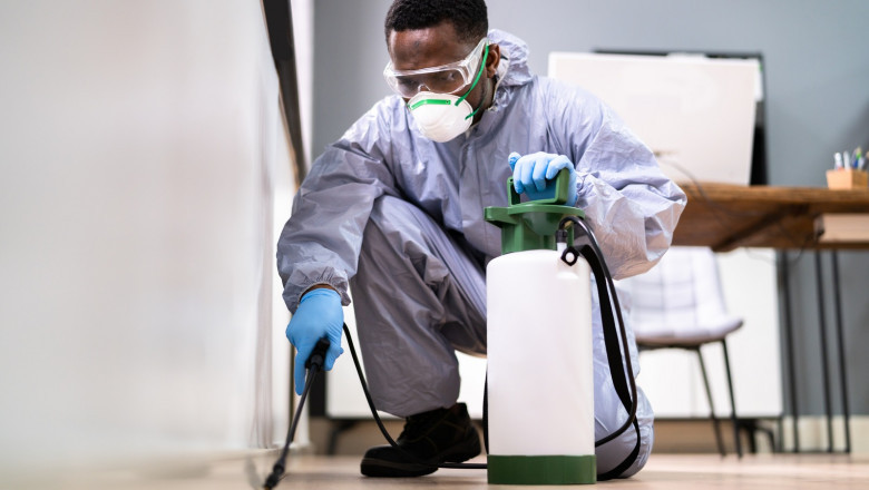 Tenant and Landlord Responsibilities for Pest Control in Calgary