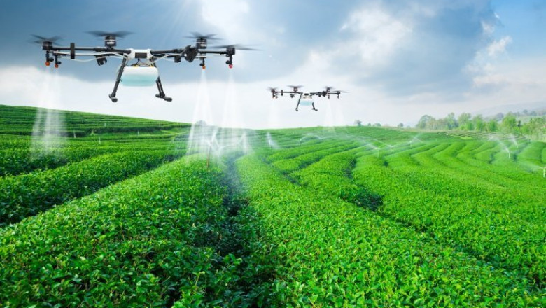 The Rise of Digital Agriculture: Transforming Farming with Technology