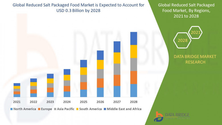 Reduced Salt Packaged Food Market, Size, Share Trends, Growth Opportunities and Industry