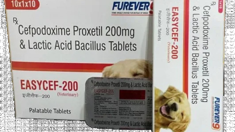 Veterinary Tablets Manufacturer in India