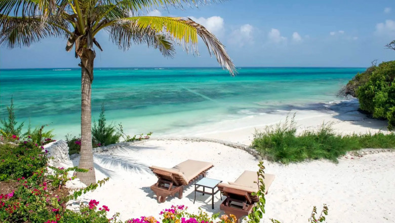 Zanzibar & Tanzania's Serengeti Honeymoon: Spice and Safari Magic