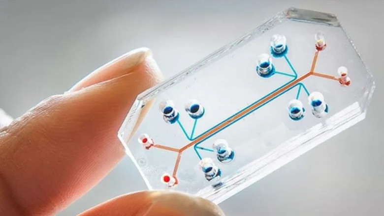 Global Microfluidics Market Size, Share, Forecast 2023 - 2033