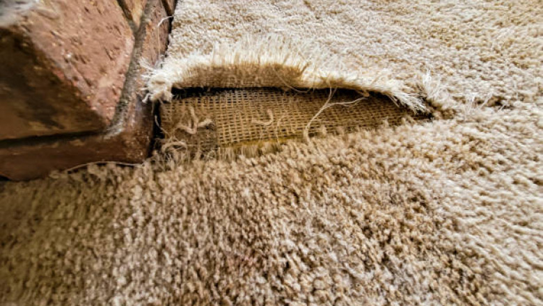 How to Fix Carpet Buckling and Wrinkling Efficiently