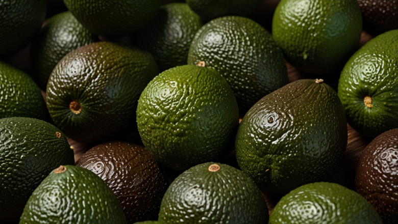 Avocados Price Graph, Trend, Chart, News, Demand and Forecast Data