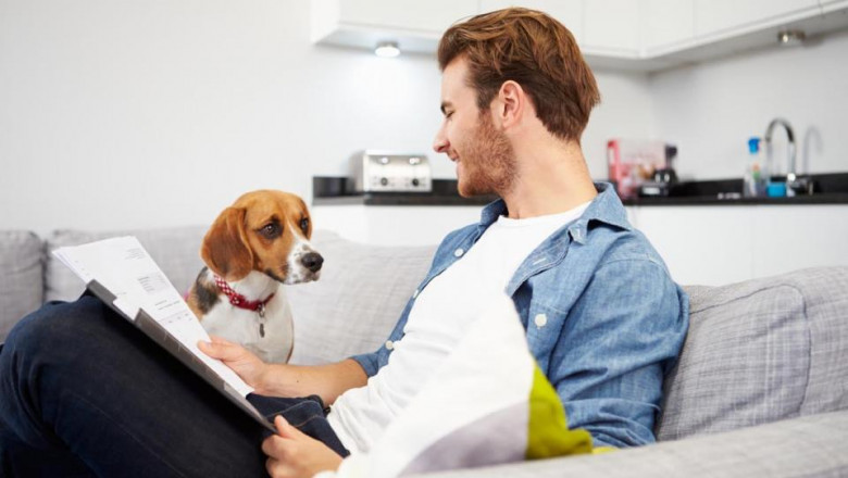 Pet Insurance Market Outlook: What to Expect in the Next 5 Years