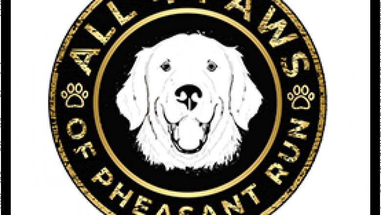 Find Champion English Golden Retriever Puppies for Sale in Indiana and More States