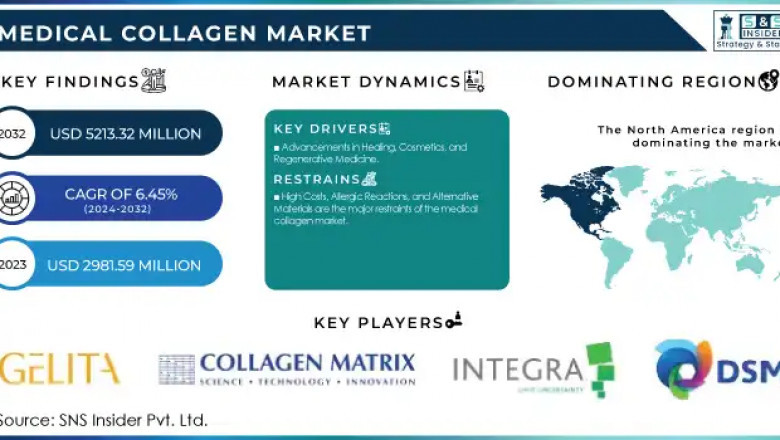 Medical Collagen Market: Market Drivers and Restraints 2024-2032