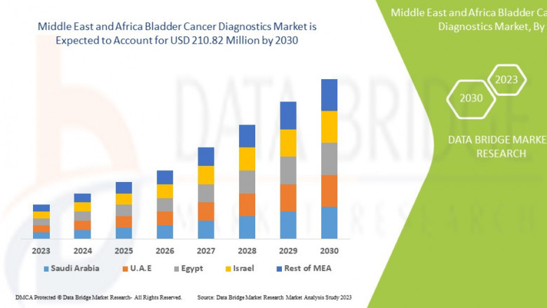 Middle East and Africa Bladder Cancer Diagnostics Market Analysis: Supply Chain, Pricing, and Forecast 2030