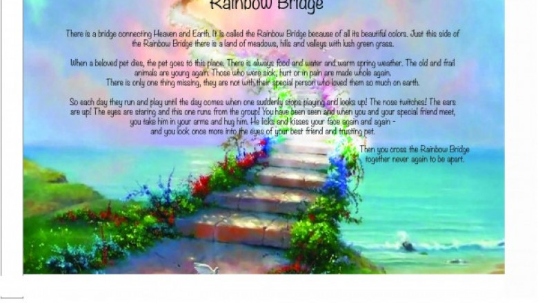The Meaning and Healing Behind Personalized Rainbow Bridge Plaques