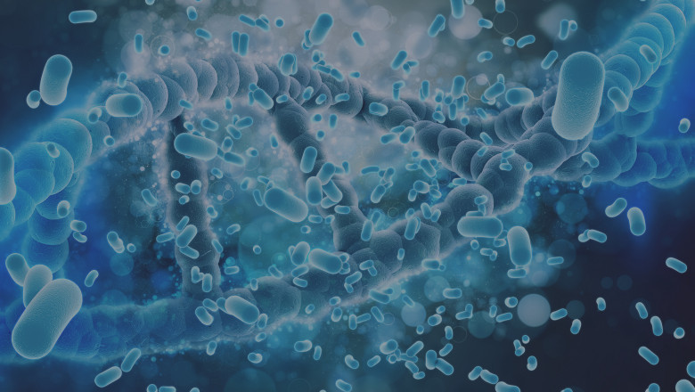 Bacillus Coagulans Market Scenario: Understanding the Impact of Health Consciousness on Probiotic Product Adoption