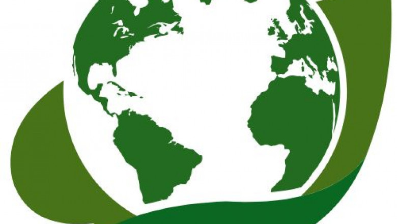 Healthline Web Guide 2025: Your Ultimate Source for Trusted Health Information and Wellness Tips
