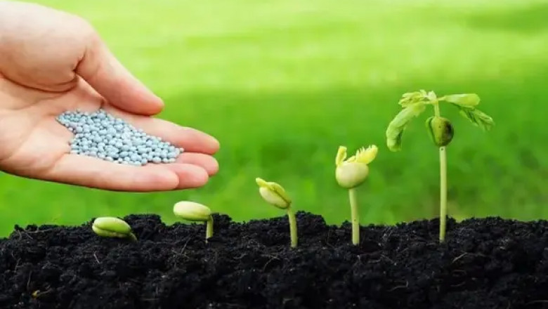 India Biopesticides Market Size, Growth | Analysis Report 2025-2033