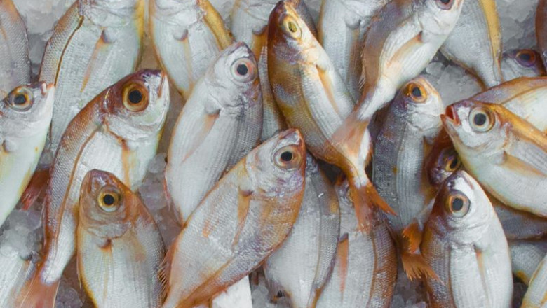United States Cold Storage Market Report2032