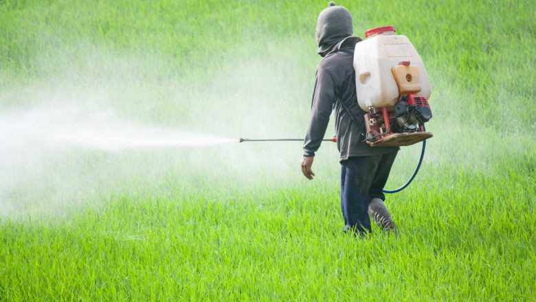 Biopesticides Market Impacting Factors: Key Drivers and Challenges Shaping Industry Growth